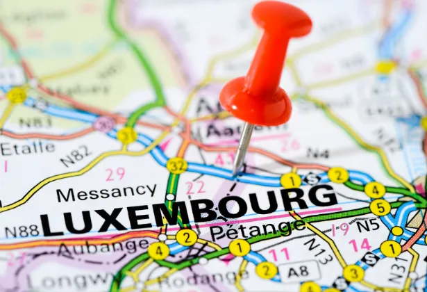 Greffe de Cheveux au Luxembourg : Votre Guide Complet pour une Chevelure Dense et Naturelle